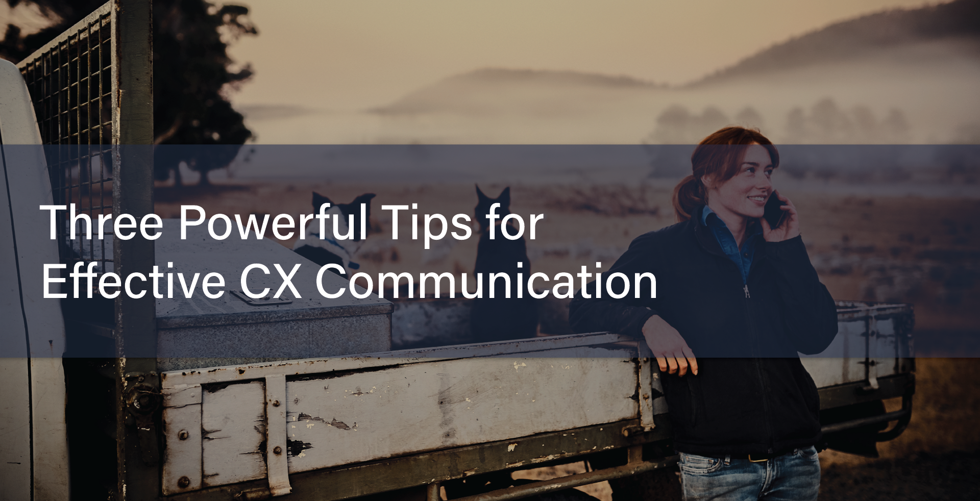 Customer Feedback Scores: Three Powerful Tips for Effective CX Communication